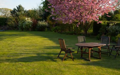 How to Manage Your Lawn in Late Summer – A Bostons’ Homeowner’s Guide