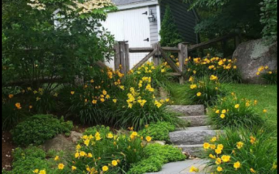 Grow Your Own Backyard Garden for a Better Life in the Greater Boston Area