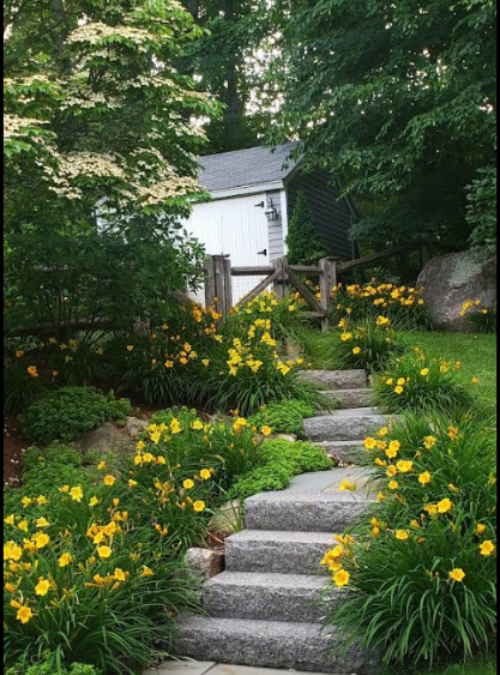 Grow Your Own Backyard Garden for a Better Life in the Greater Boston Area
