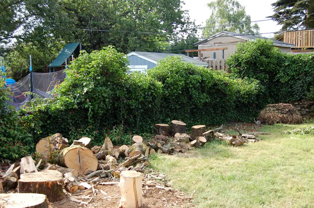 7 Essential Landscaping Tips for a Beautiful Greater Boston Yard