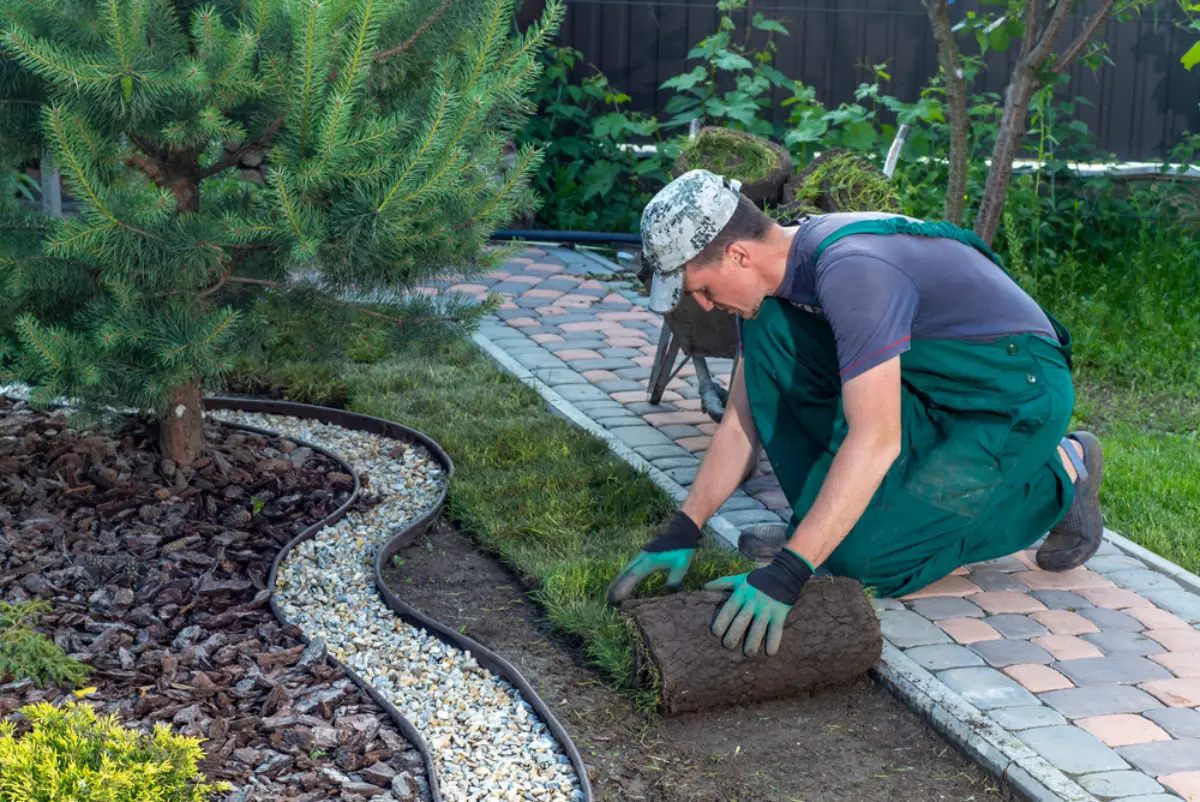 Simple Landscaping Ideas to Improve Curb Appeal and Property Value