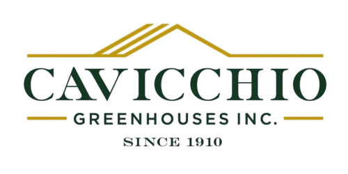 cavicchio-logo-3-removebg-preview